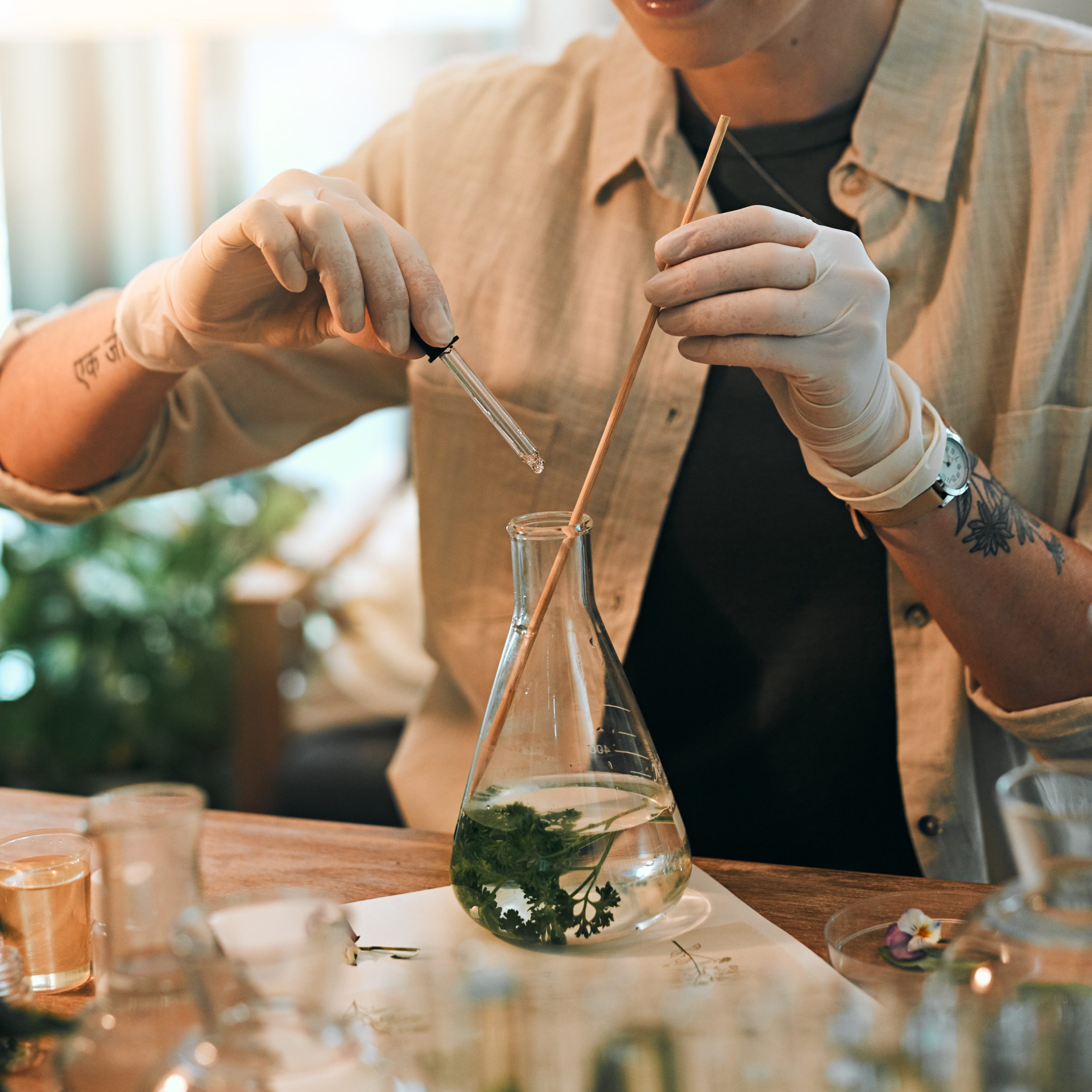 Clean botanical fragrances
